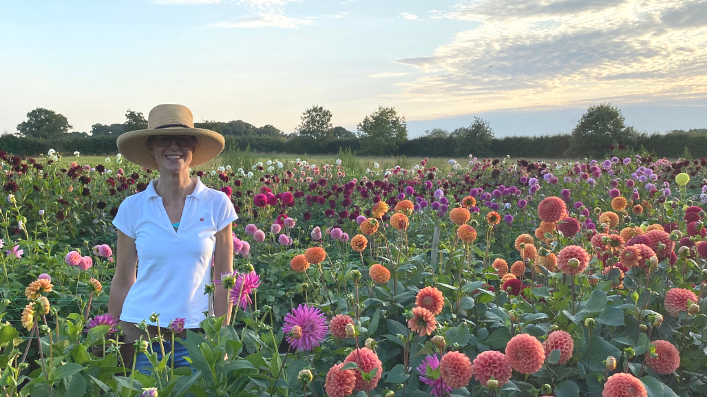 Dahlia Guide with Philippa Stewart ‘Just Dahlias’