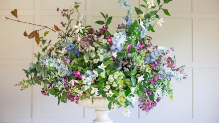 Blossom & Prosper Video