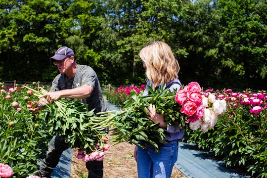 Visit to Gatley farm flowers 