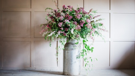 Blossom & Prosper Video