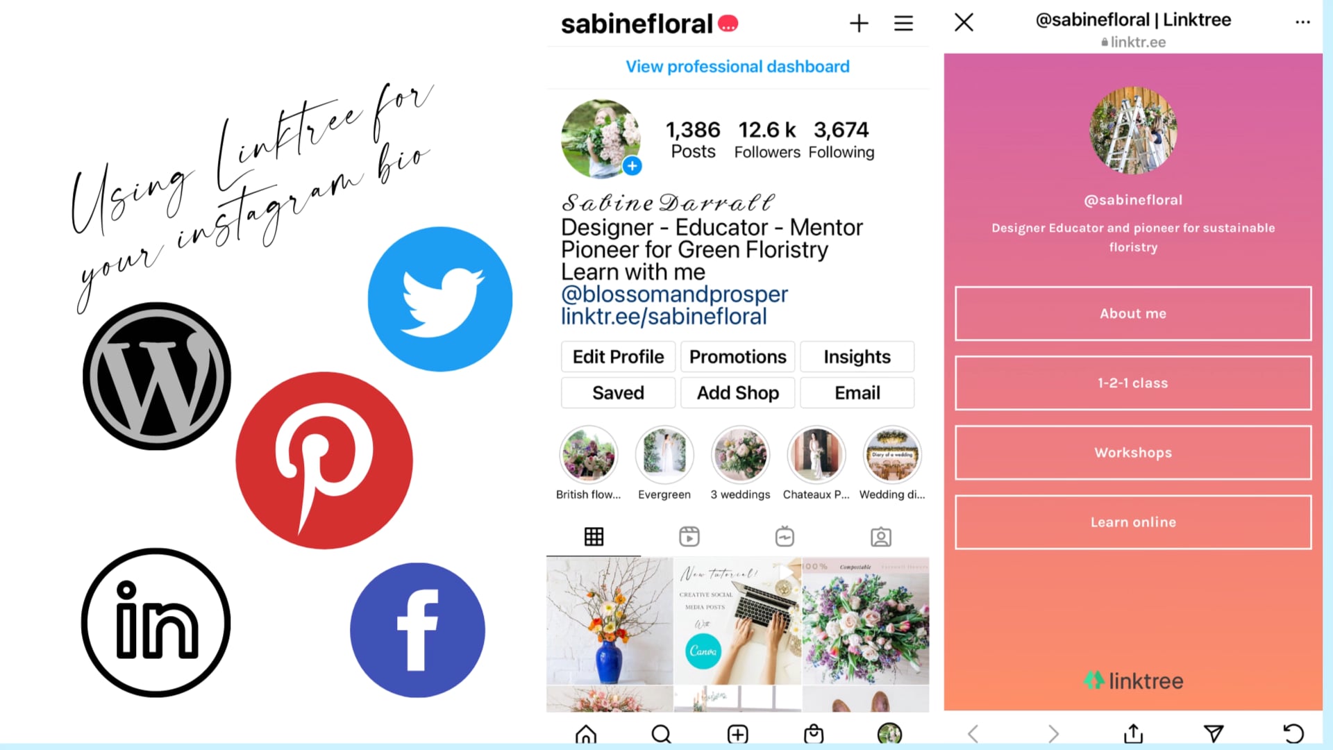 Using  linktr.ee  for Instagram