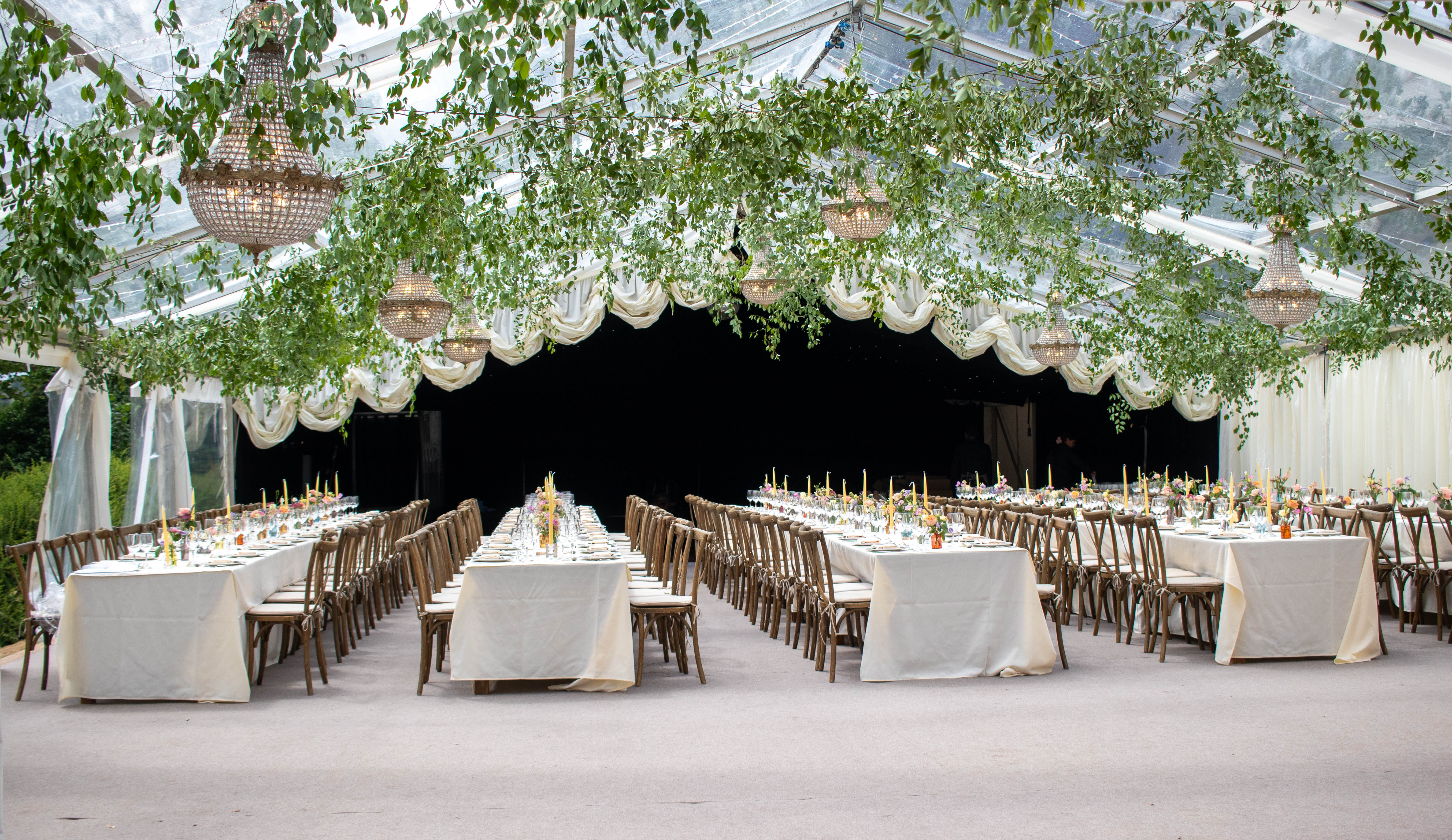 Smilax Celing installation 