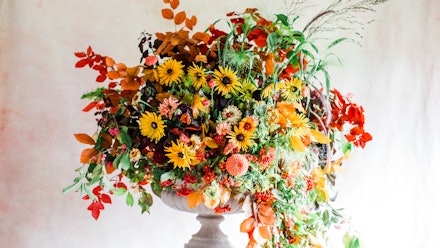 Blossom & Prosper Video