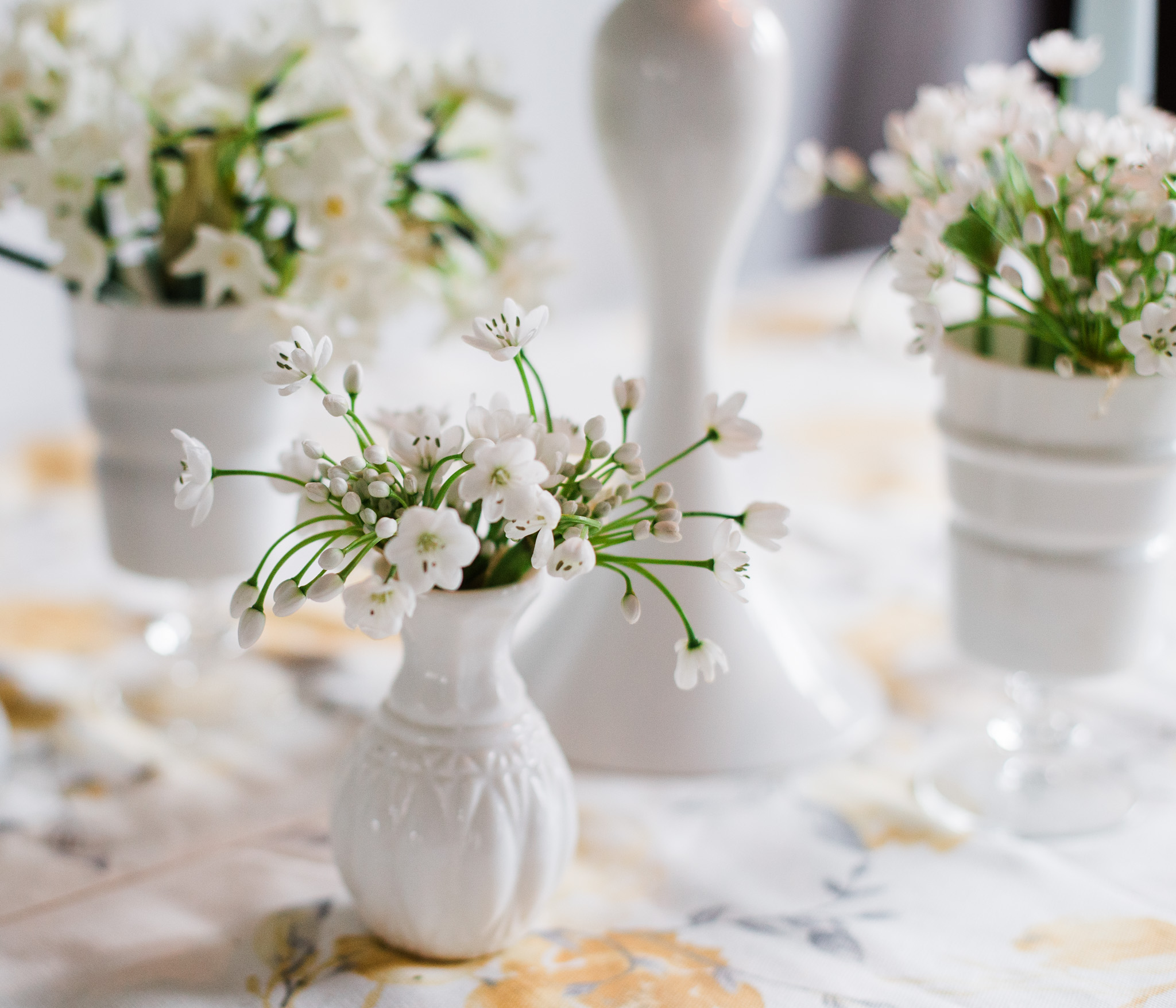 A guide to photography and composition