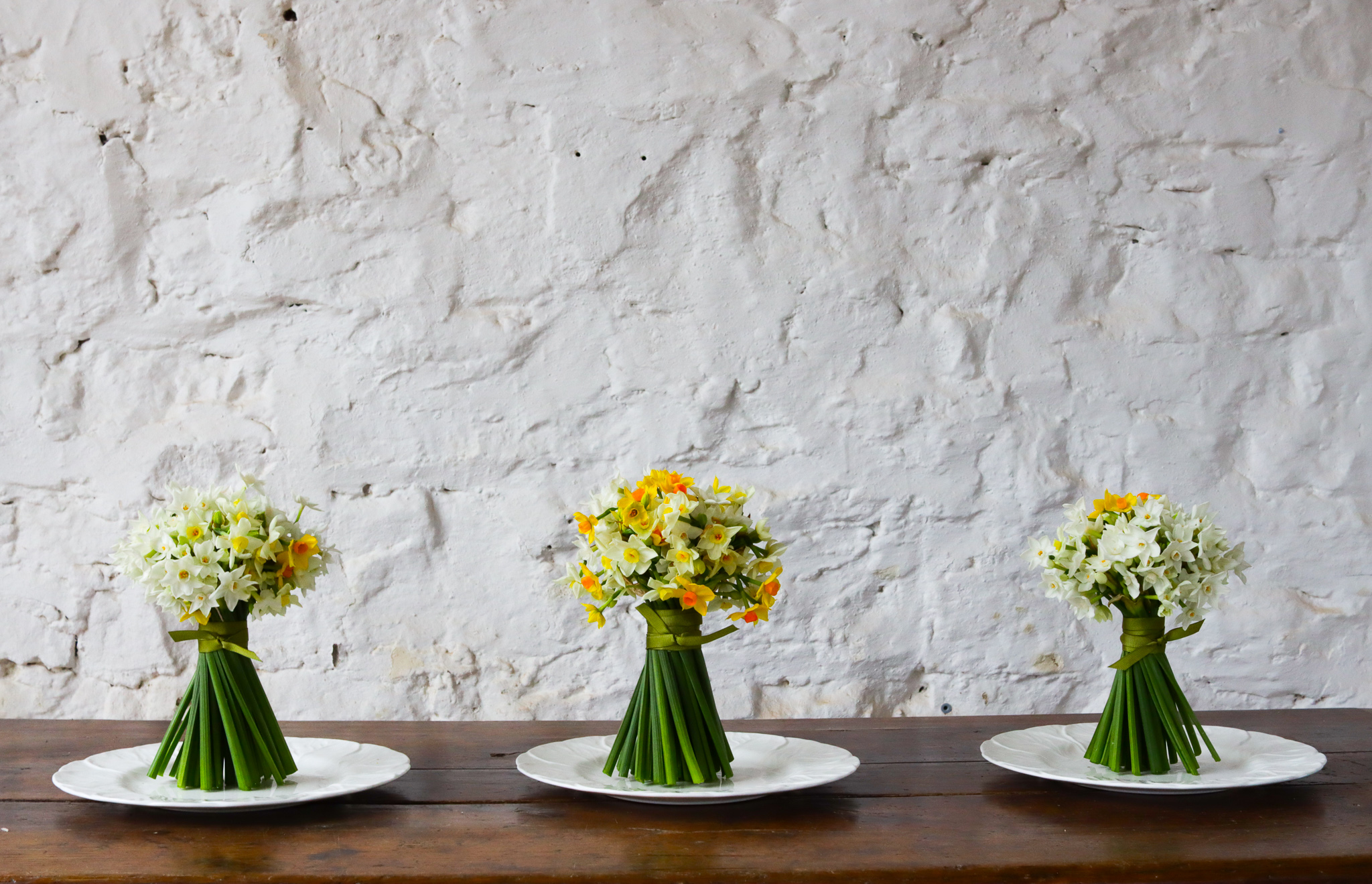 Narcissi from the Isles of Scilly 