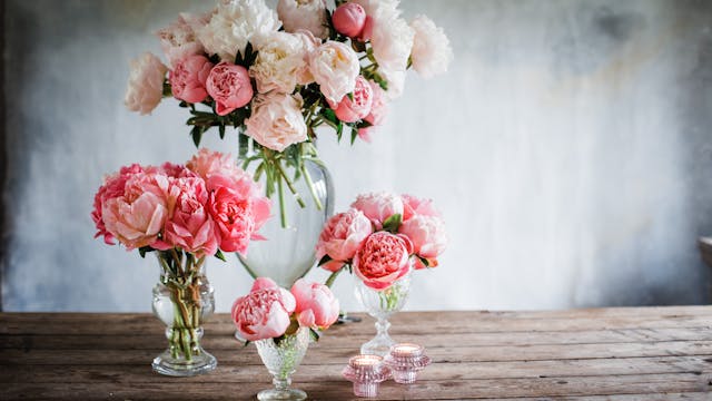 A quartet of peonies