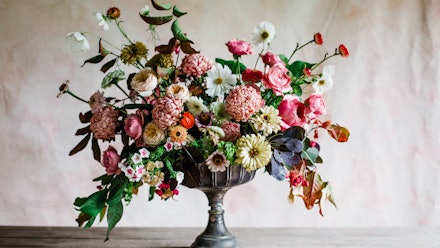 Blossom & Prosper Video