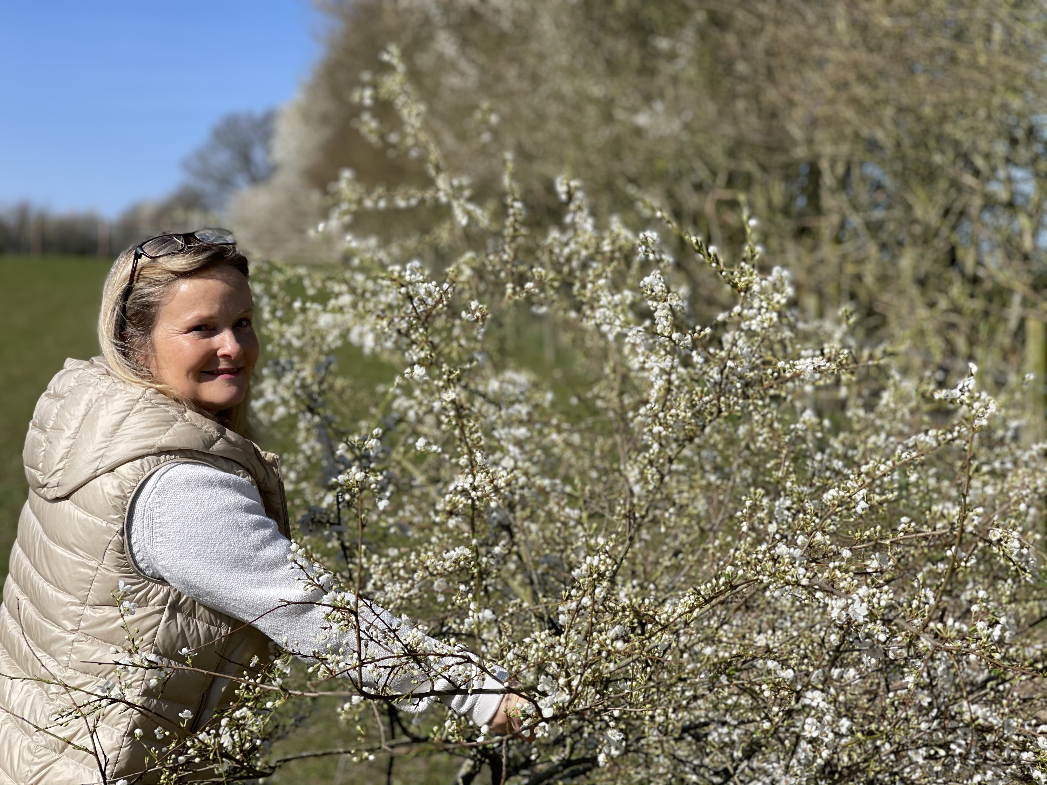 Blossom installation 