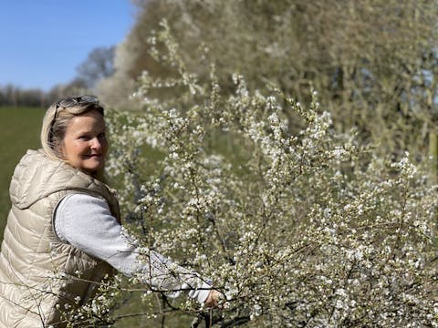 Blossom installation 