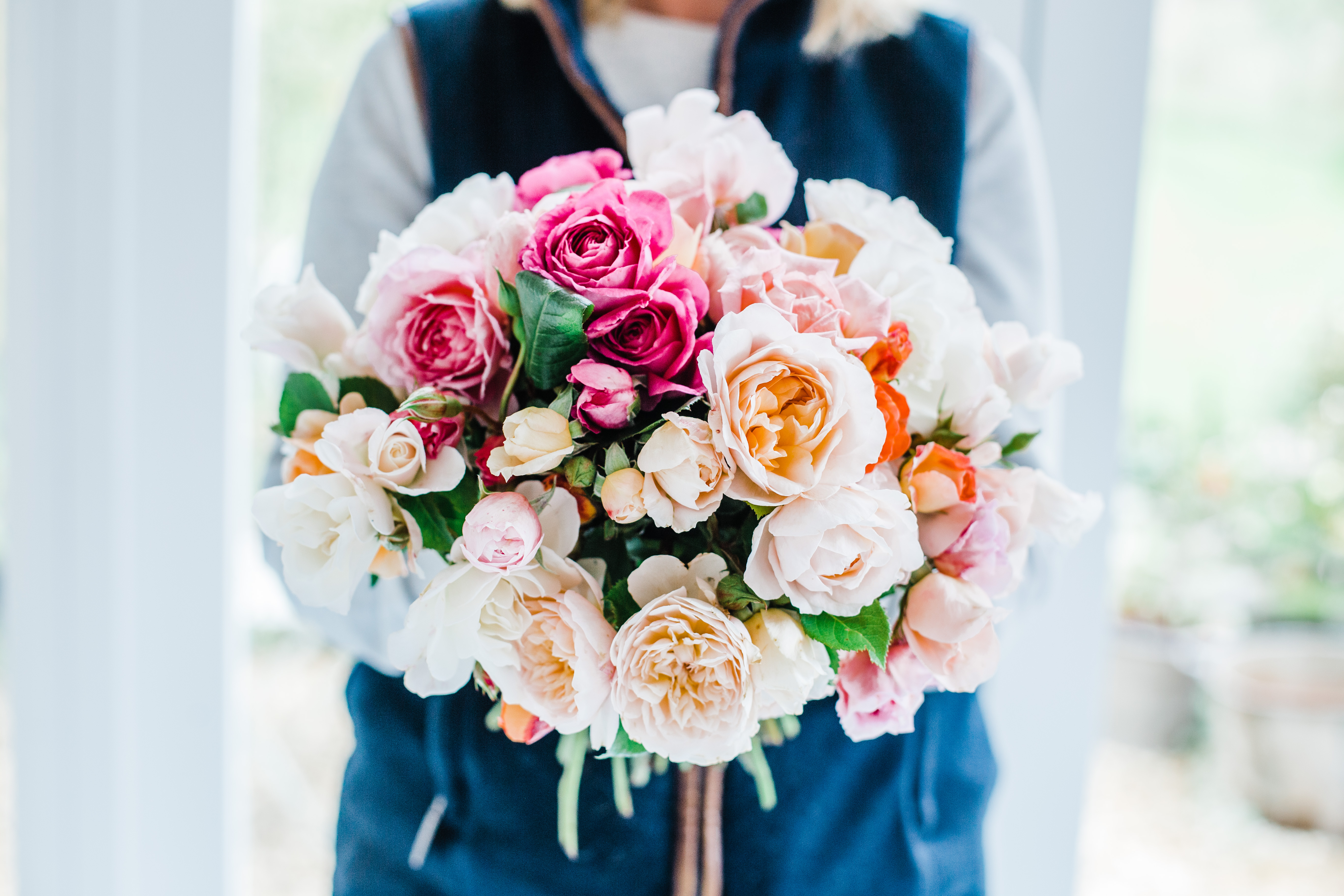 A short guide to Garden Roses.pdf