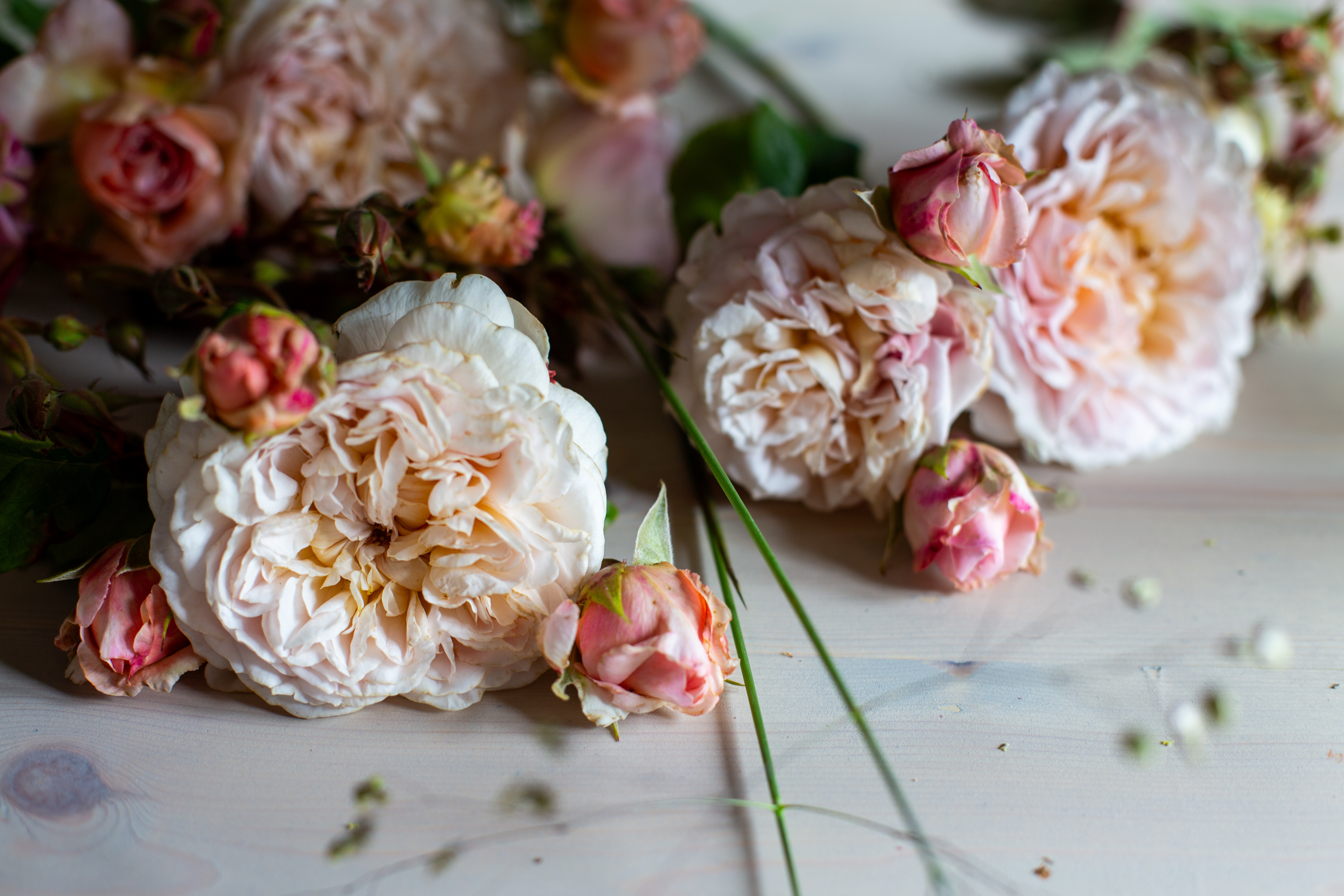 A-Short-Guide-to-Scented-Flowers-and-Foliage.pdf