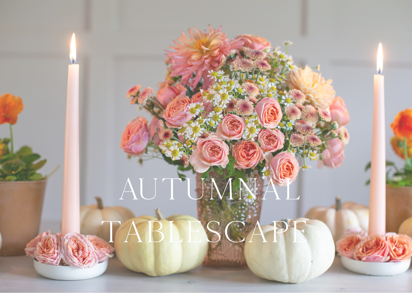 Blossom & Prosper Video