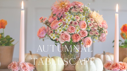 Blossom & Prosper Video