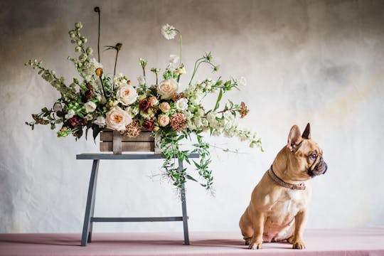 Painting a canvas backdrop
