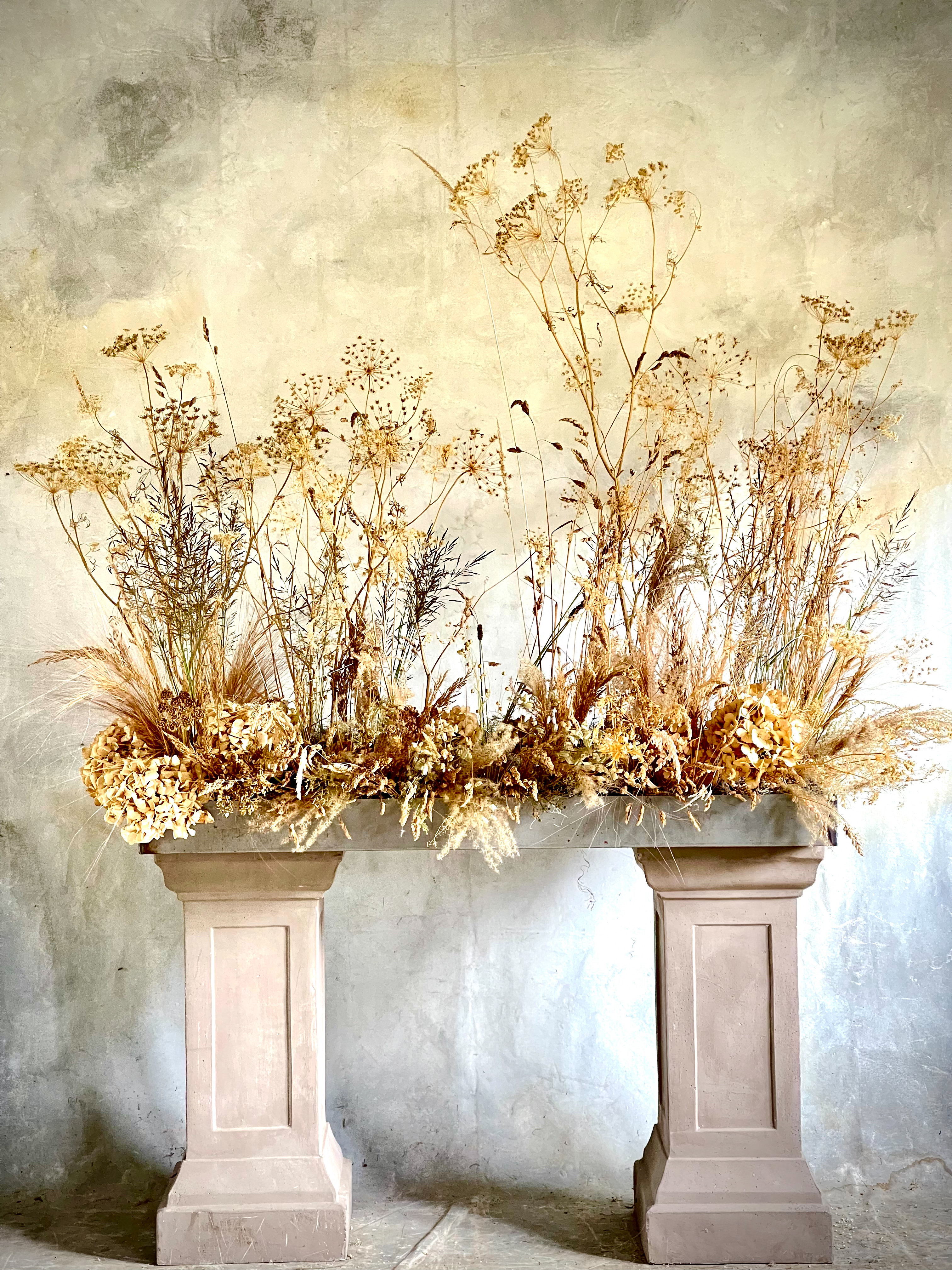 Dried Flowers