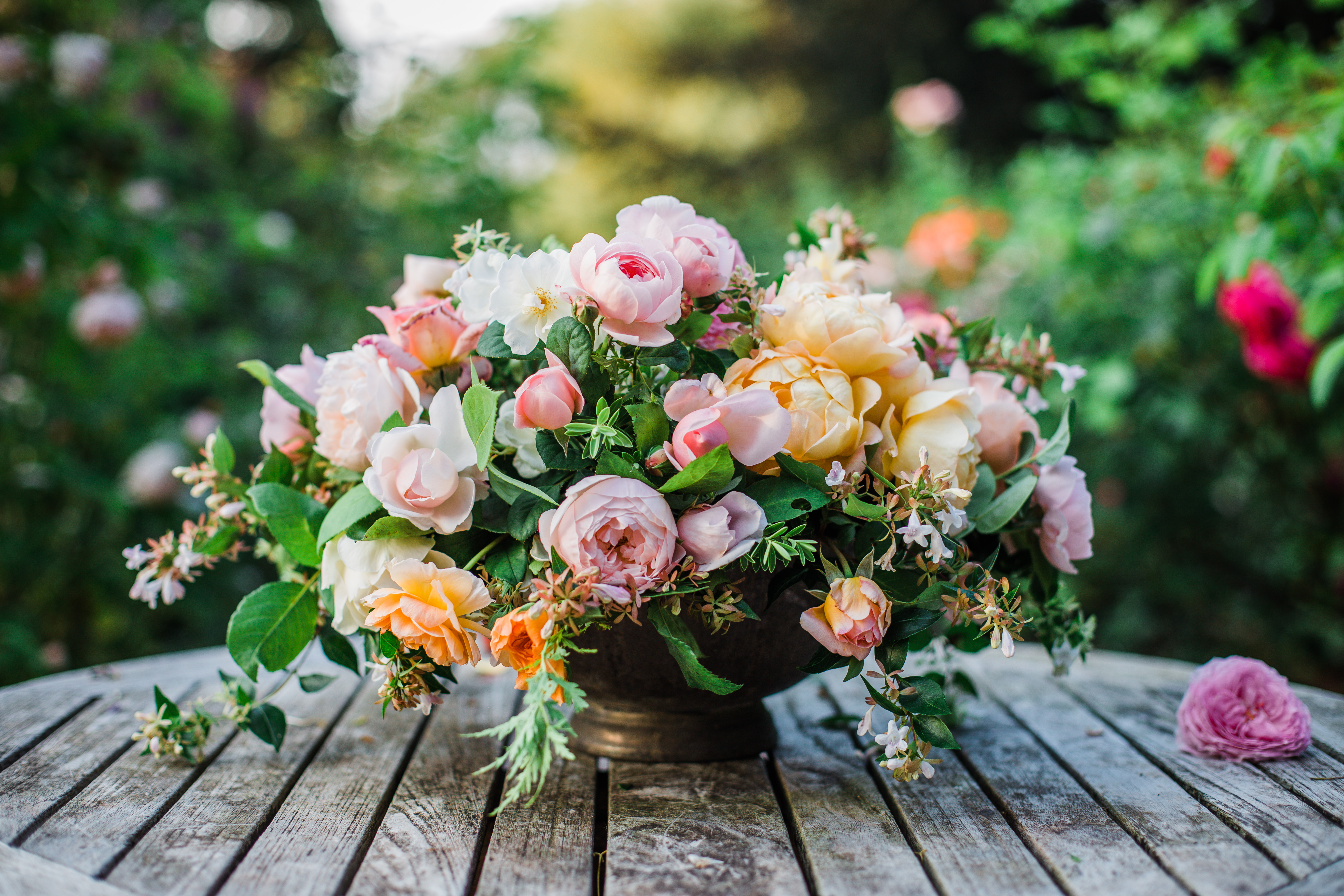 A short guide to garden roses