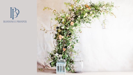 Blossom & Prosper Video