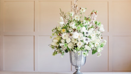 Blossom & Prosper Video