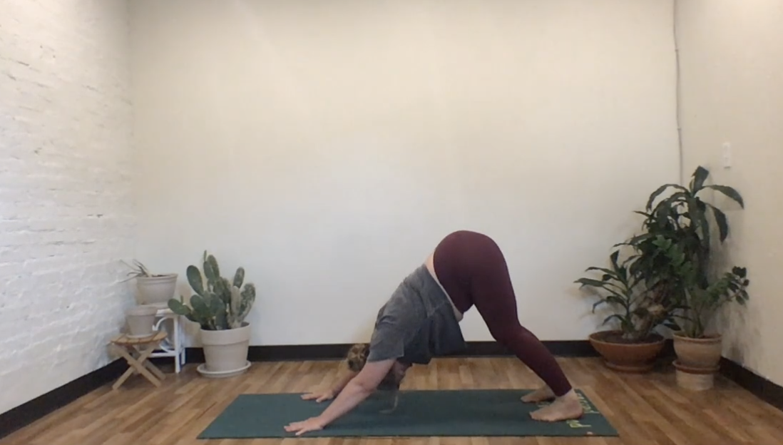 Sun Salutations with Annelise 