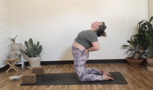 Sun Salutation with Annelise (Livestream 2.28) 45 Minutes