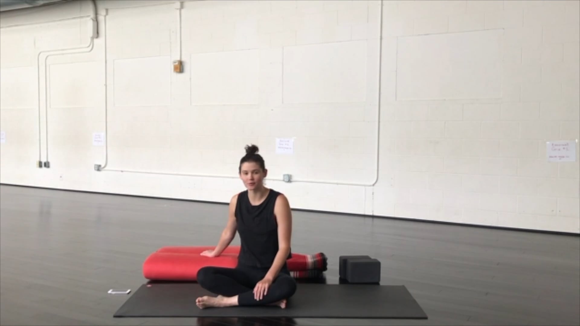 Restorative with Malerie (50 Mins)