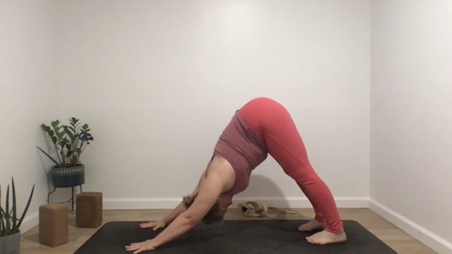 Sun Salutations with Annelise (45 mins) Live 3.28.21