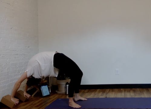 Mindful Hot with Malerie, 45 Minutes