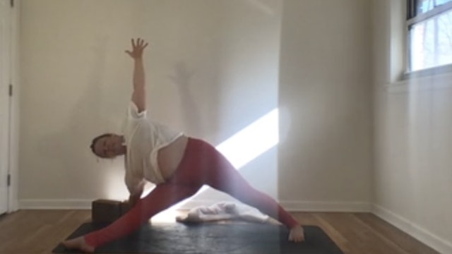 Sun Salutations with Annelise (45 mins) Live 2.21.21