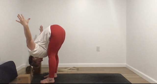 Sun Salutations 45 with Annelise (Live 4.18)