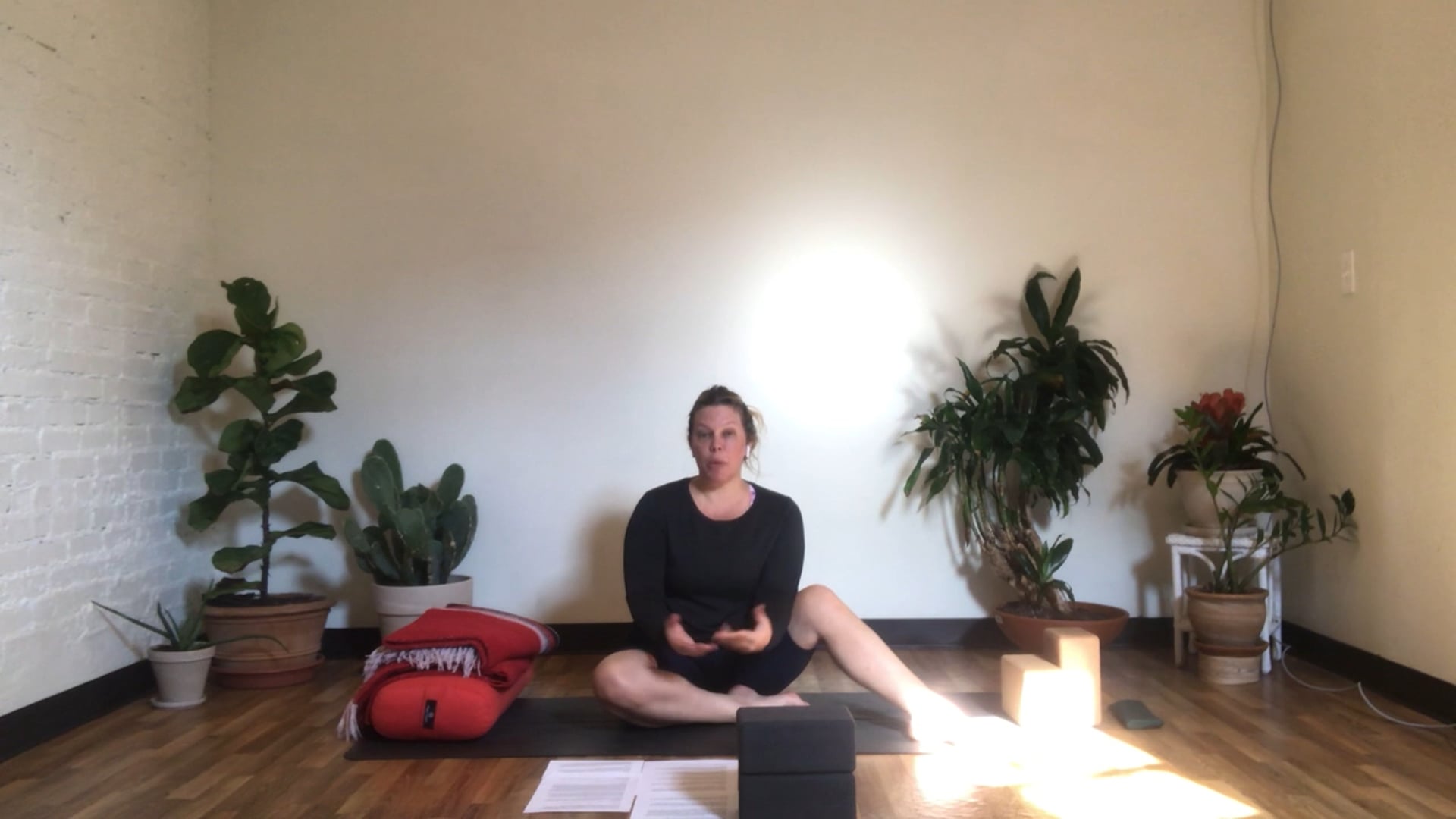 Restore + Nidra with Annelise (All Levels + Prenatal Appropriate)