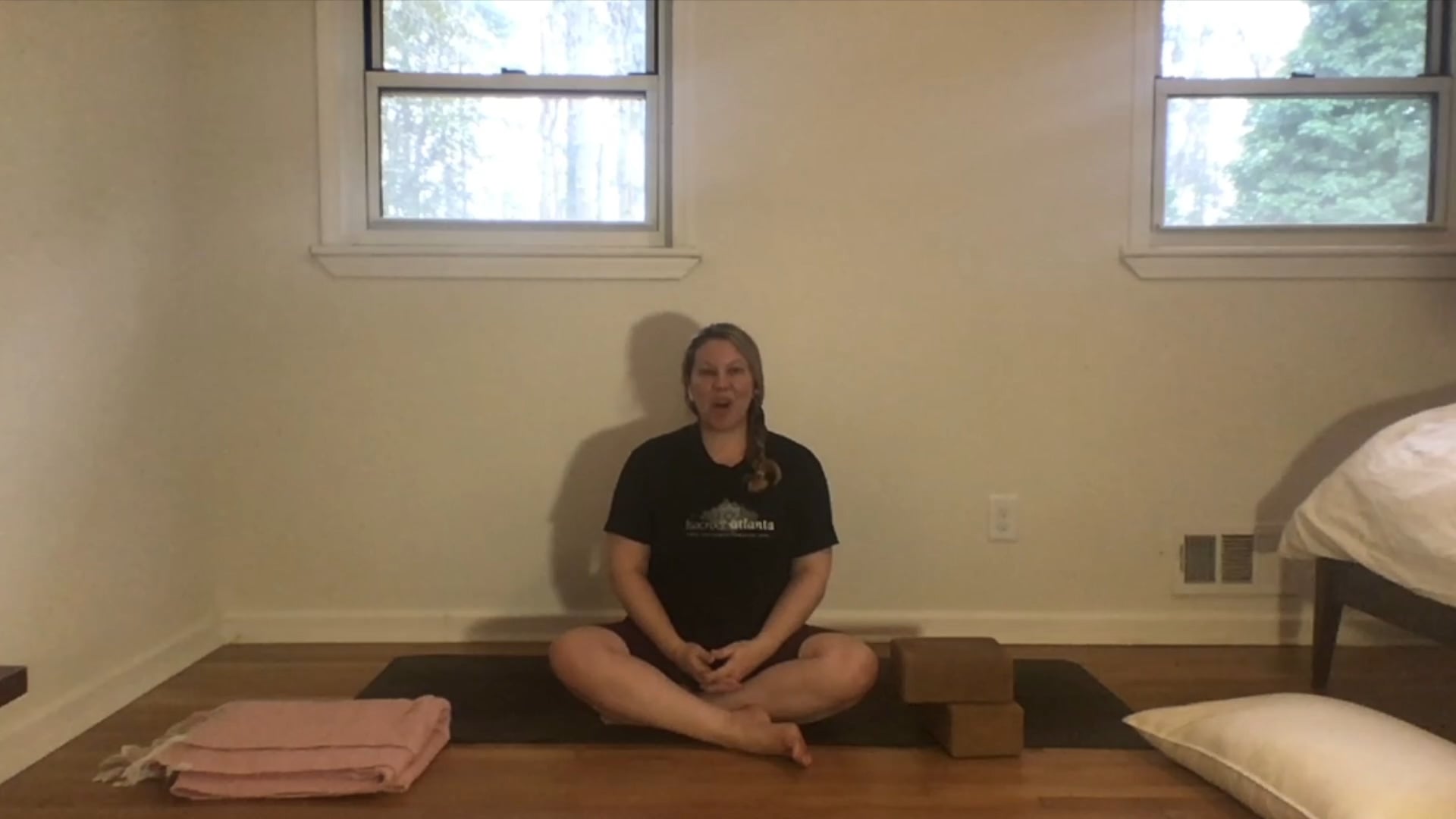 Wrist-Free to Handstands...All Levels Flow with Annelise