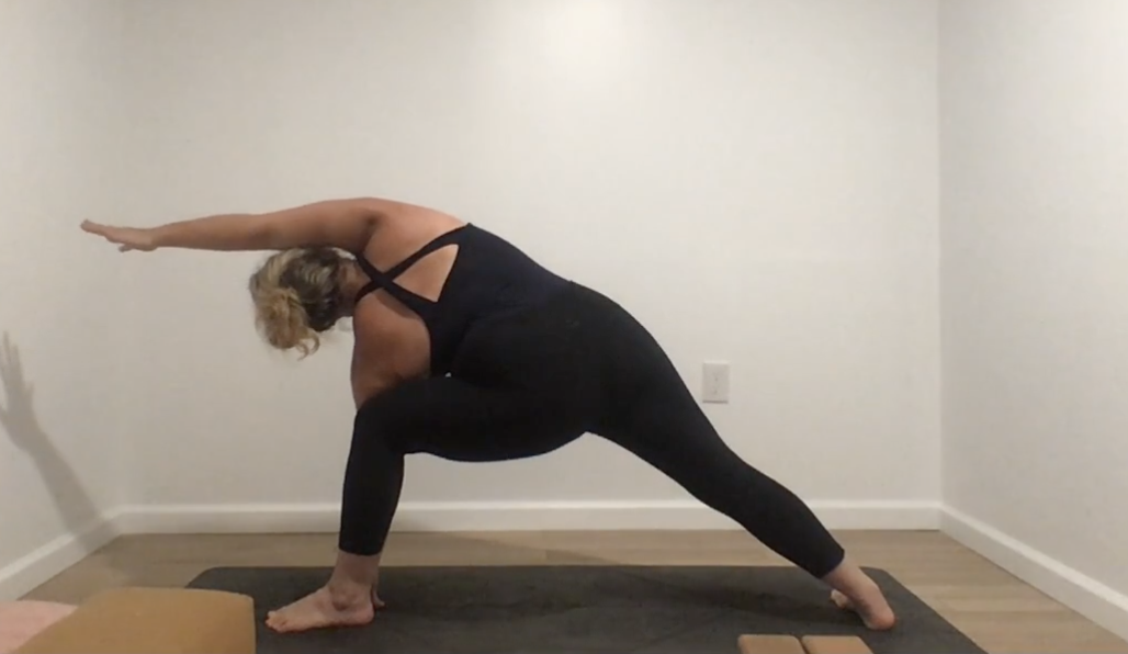 Sun Salutations to End the Day with Annelise 