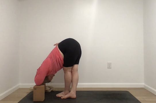 Sun Salutations 45 with Annelise (Liv...