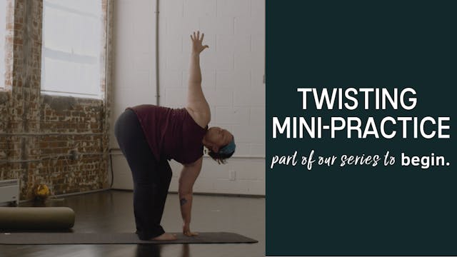 Twists for a Healthy Spine - The Practice