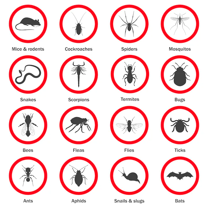 Rodents Snakes Animals Video ToolBox Talk NOW ToolBox Talks Rodents snakes animals video toolbox talk now toolbox talks