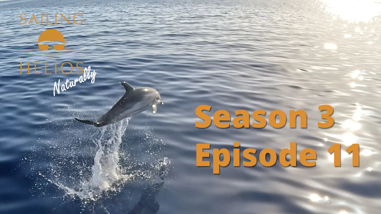 Sunrises, Dolphins & Naked Showers