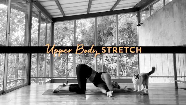 Upper Body Stretch