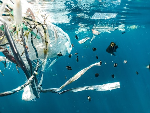 Ocean Plastic Pollution Workshop
