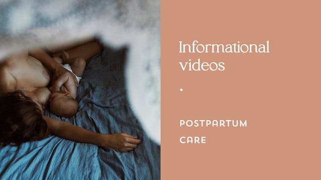 The Postpartum Period