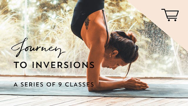 Journey to Inversions Series