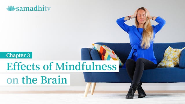 Chapter 3. Effects of Mindfulness on the Brain