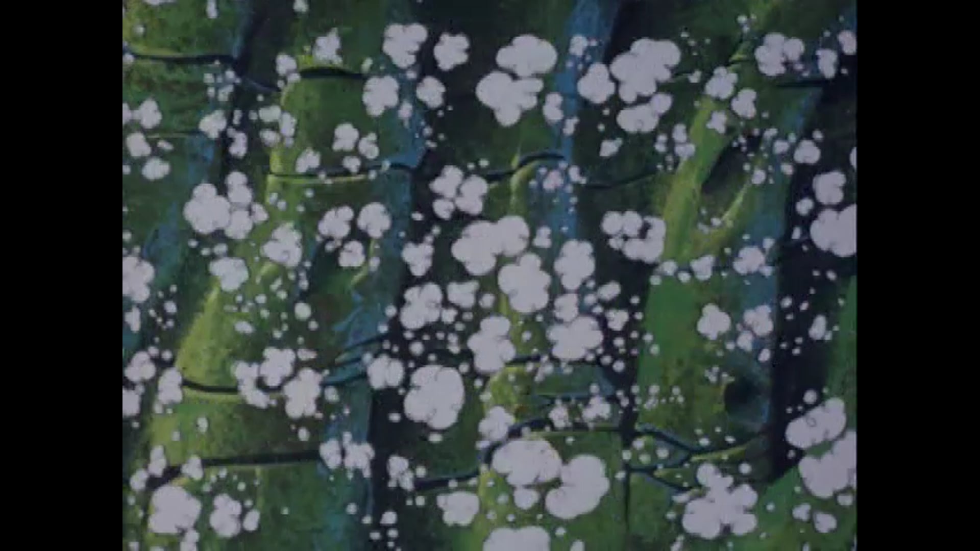 09 Will the Real Robin Please Stand Up