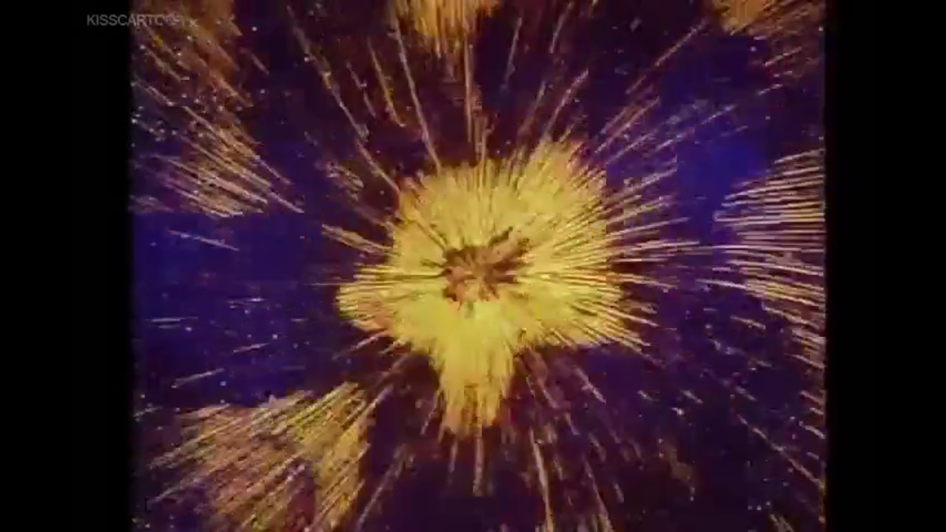 11 Wildsharkk - To Play or Not to Play