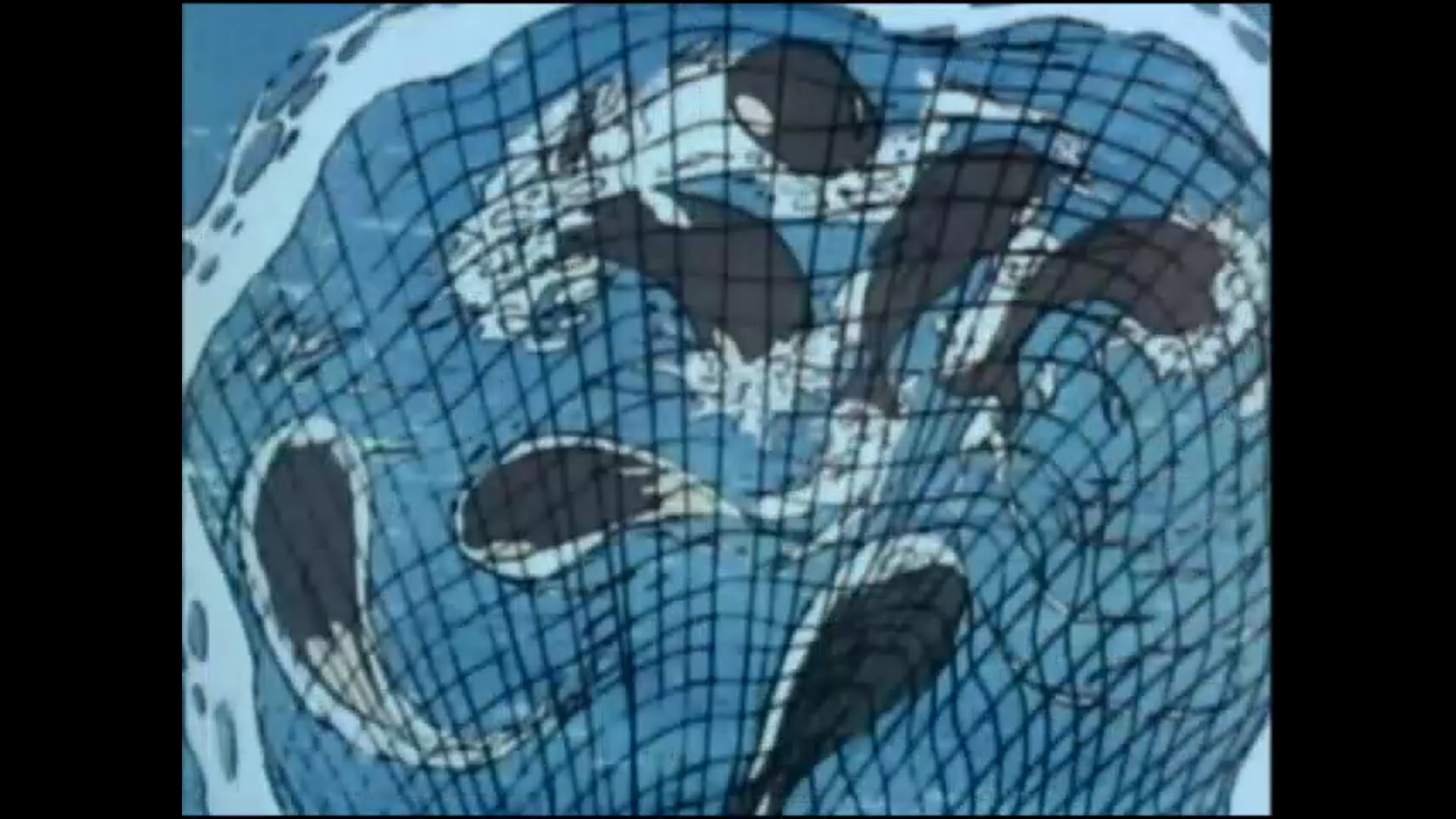 17 A Whale Joins G-Force