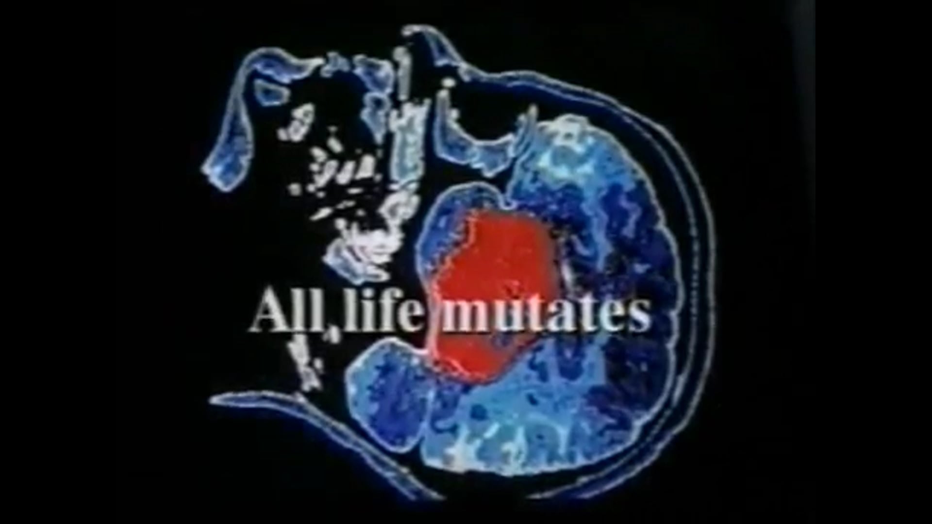 Generation X - T.V. Pilot