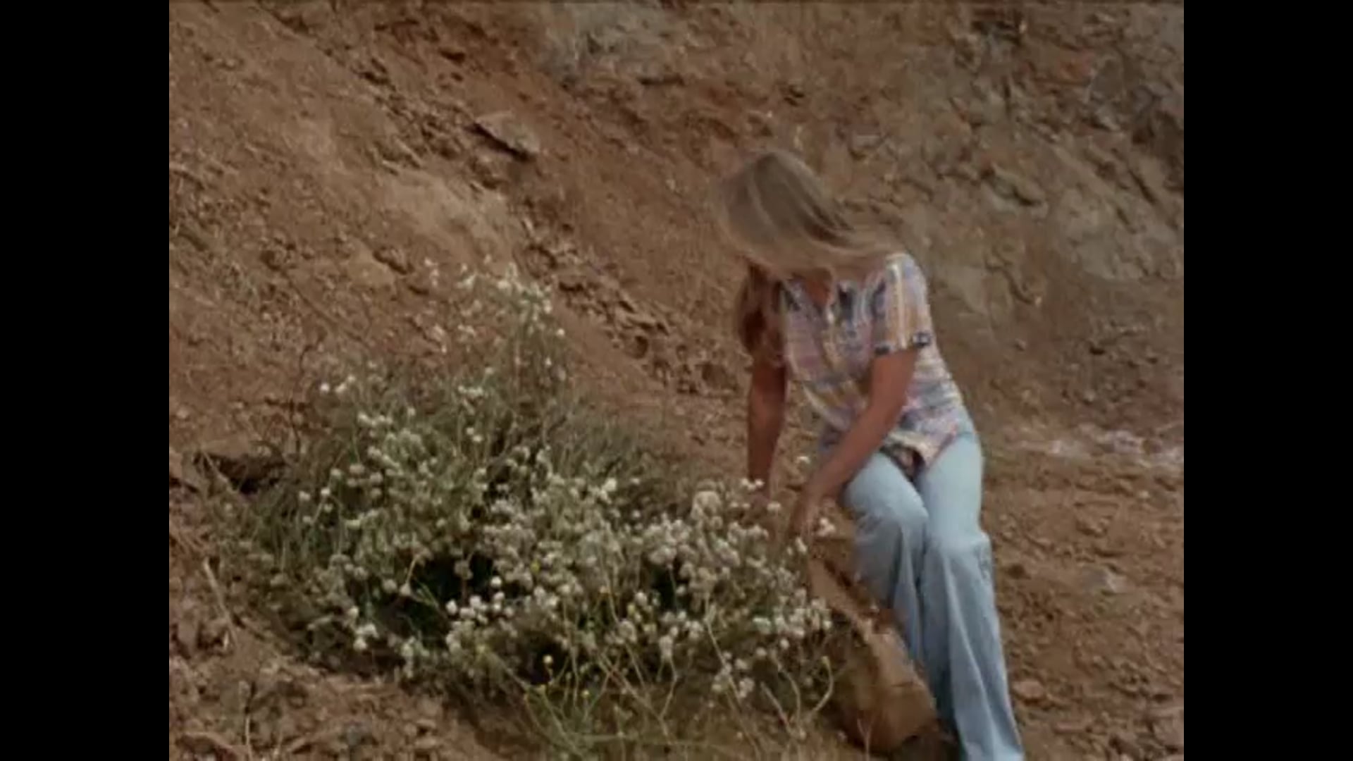 04 The lure of the Lost