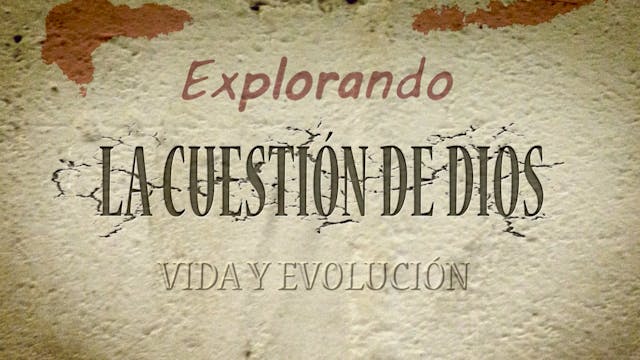 Viday Evolucion Segunda Parte