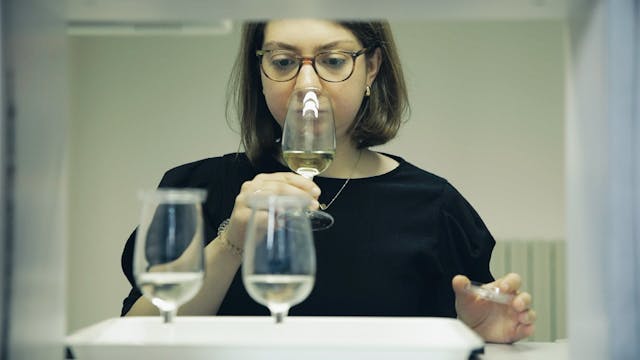 L'analisi sensoriale nel vino Derthona Timorasso