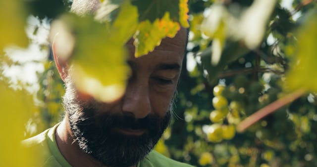 Winemaker in Val Borbera