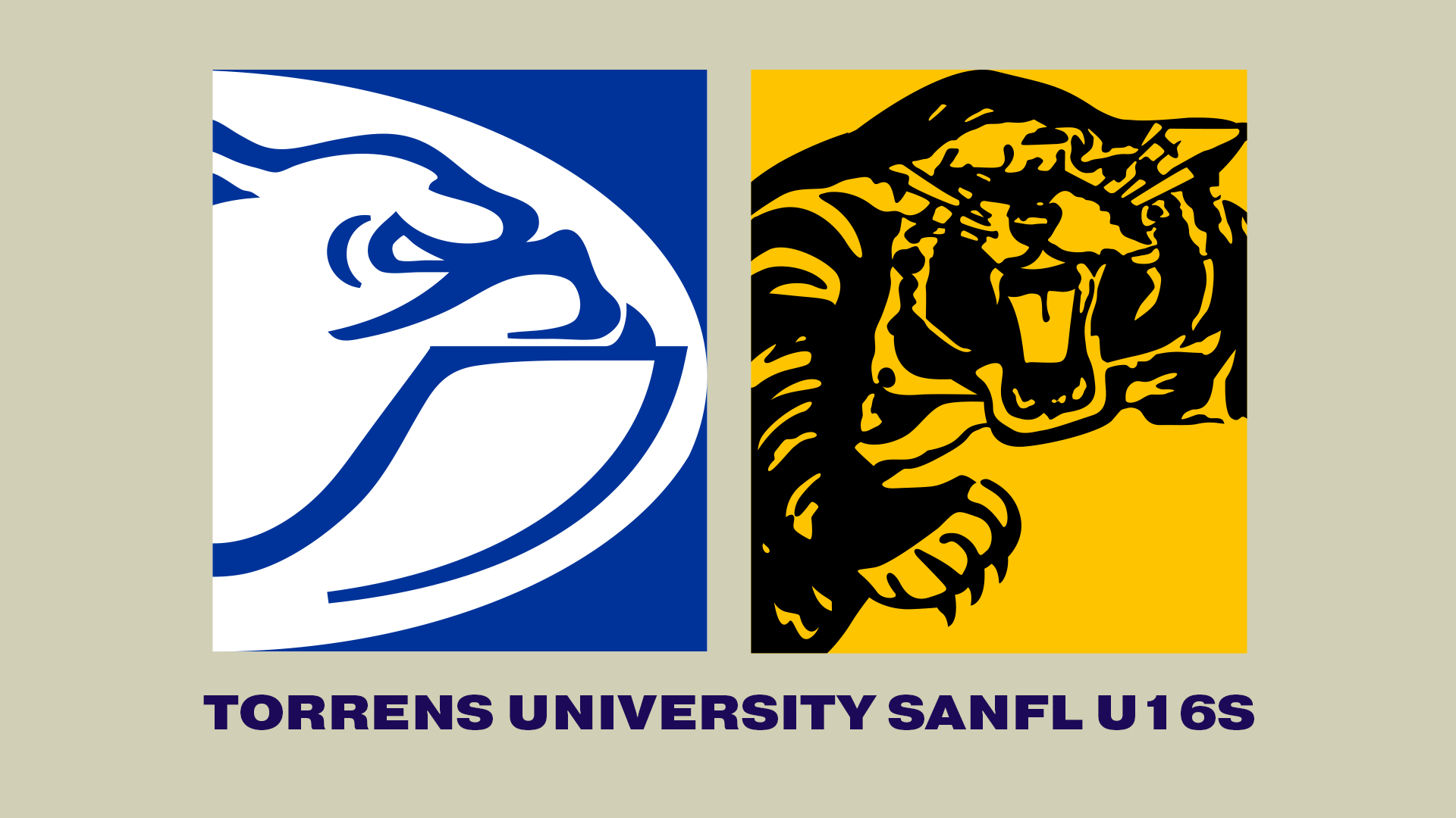 CDFC V GFC | 2023 Torrens University U16 R12